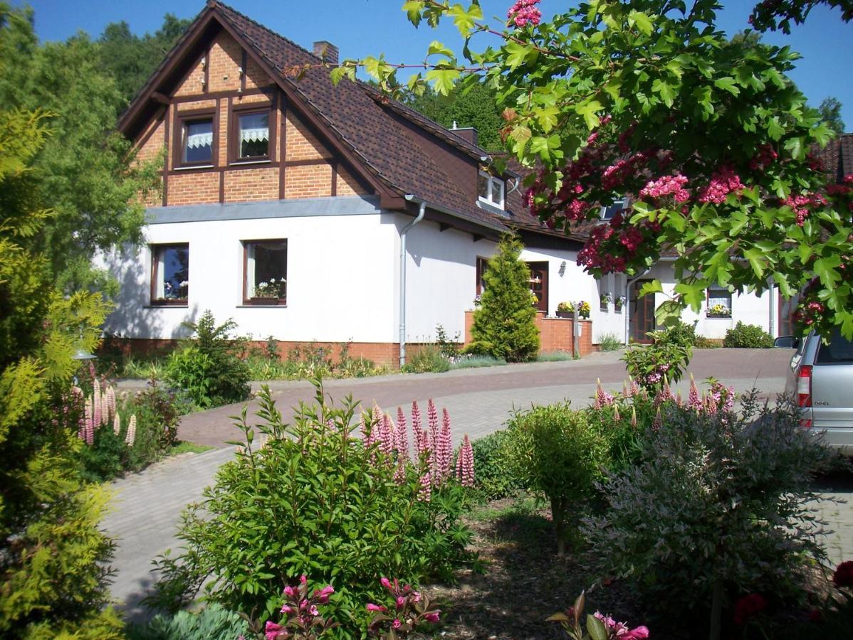 Ferienwohnung 3 Ada Bergen Auf Rugen Extérieur photo